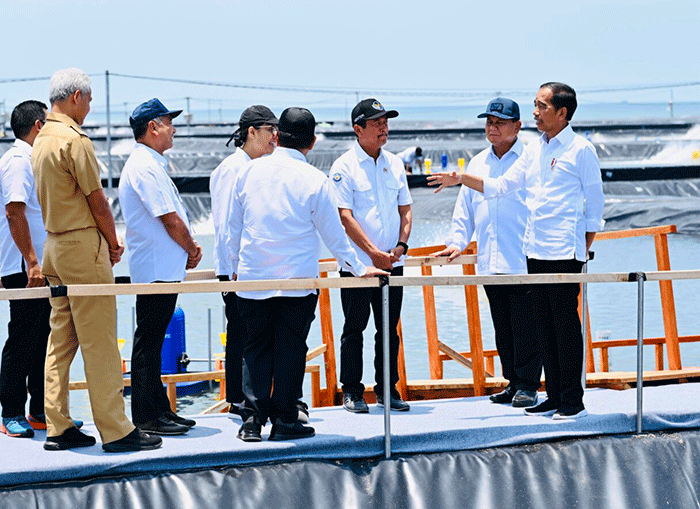 Presiden Joko Widodo meresmikan tambak budidaya udang berbasis kawasan di Desa Plesung, Kecamatan Petanahan, Kabupaten Kebumen, Jawa Tengah.