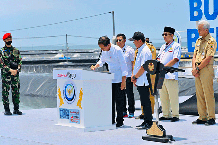 Presiden Joko Widodo meresmikan tambak budidaya udang berbasis kawasan di Desa Plesung, Kecamatan Petanahan, Kabupaten Kebumen, Jawa Tengah.