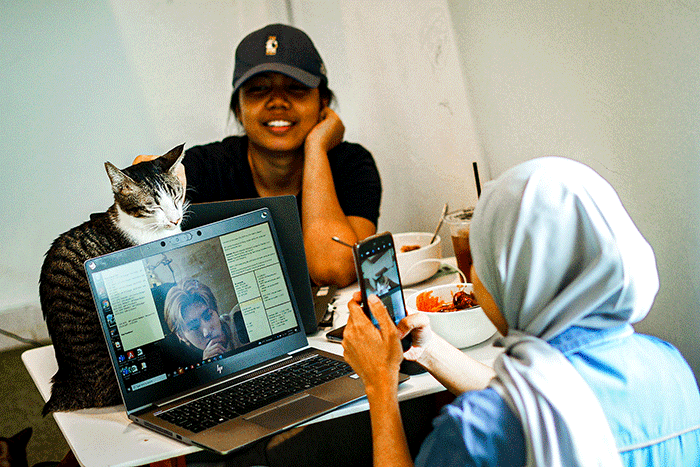 Pengunjung bermain dengan kucing di Kafe Bilik Kucing, Depok, Jawa Barat, Kamis (9/3/2023).