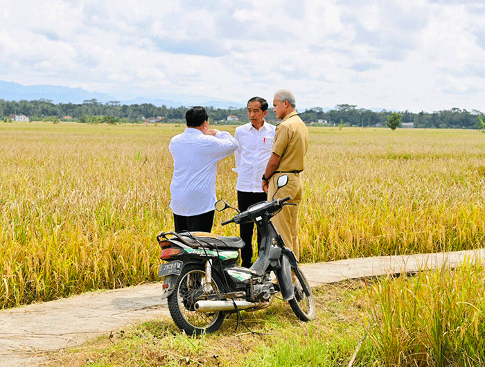Presiden Joko Widodo meninjau secara langsung panen raya padi di Desa Lajer, Kecamatan Ambal, Kabupaten Kebumen, Jawa Tengah, Kamis (9/3/2023).