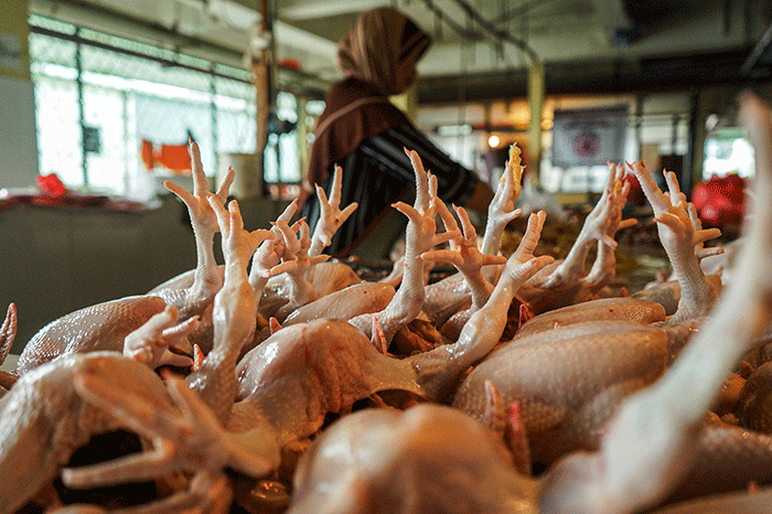 Jelang Ramadan, Harga Daging Ayam Tembus Rp35.000 Per Kg Di Pasar ...