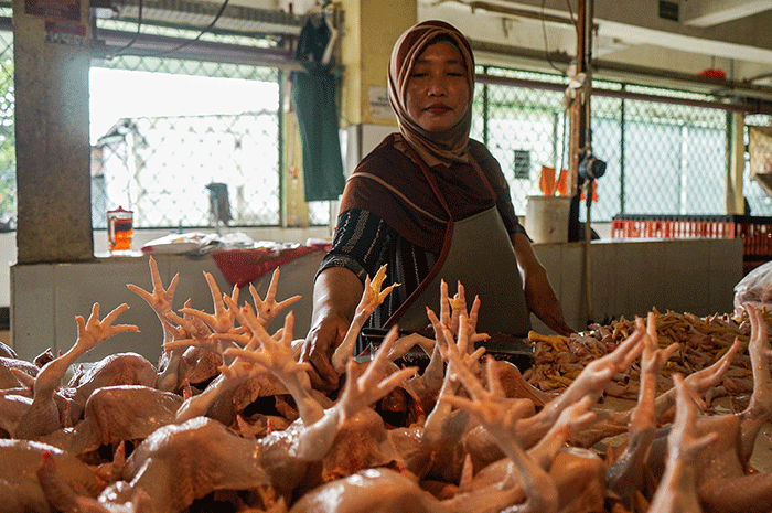 Pedagang menjual ayam potong di Pasar Kramat Jati, Jakarta Timur, Jumat (17/3/2023).