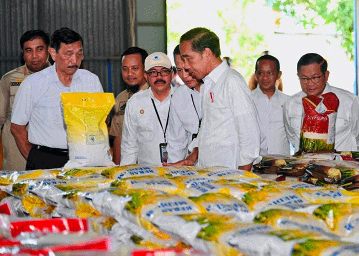 Presiden Joko Widodo saat meninjau ketersediaan stok beras di Gudang Bulog Batangase, Kabupaten Maros, Sulawesi Selatan, Kamis (30/3/2023).