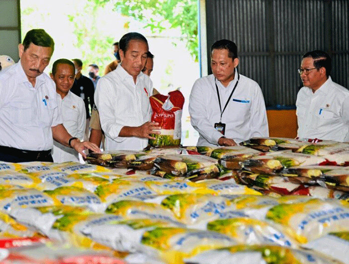 Presiden Joko Widodo saat meninjau ketersediaan stok beras di Gudang Bulog Batangase, Kabupaten Maros, Sulawesi Selatan, Kamis (30/3/2023).