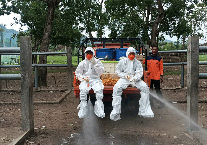 Relawan Badan Penanggulangan Bencana Daerah (BPBD) Jawa Timur melakukan penyemprotan disinfektan di Pasar Hewan Mojokerto, Jawa Timur.