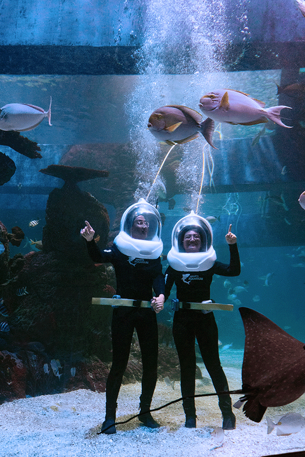 Pengunjung saat menikmati suasana Jakarta Aquarium & Safari di Jakarta.