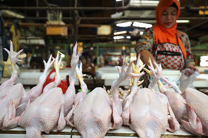 Pedagang ayam potong saat menunggu pembeli di pasar tradisional di kawasan Jakarta Selatan, Senin (17/4/2023).
