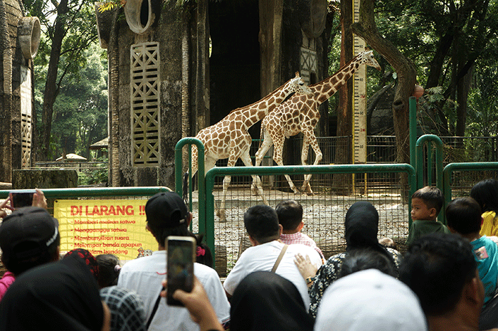 Ribuan pengunjung memadati Taman Margasatwa Ragunan, Jakarta Selatan, Senin (24/4/2023).