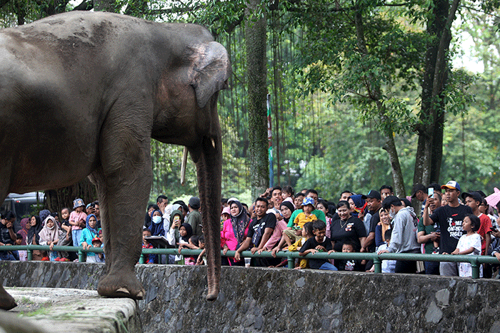Ribuan pengunjung memadati Taman Margasatwa Ragunan, Jakarta Selatan, Senin (24/4/2023).