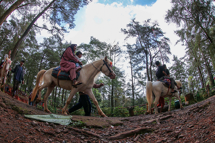 Sejumlah warga berwisata di kawasan Puncak Malino, Kabupaten Gowa, Provinsi Sulawesi Selatan, Rabu (26/4/2023).