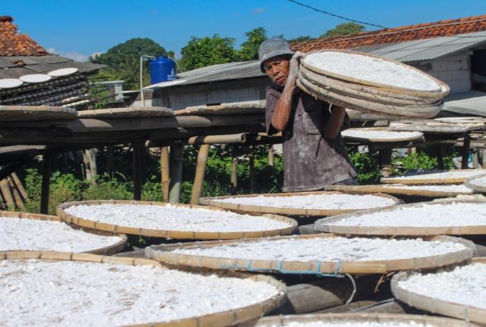 Hasim, perajin tepung aci menjemur bahan baku singkong di kawasan Kampung Pisang, Bogor, Jawa Barat, Jumat (12/5/2023).
