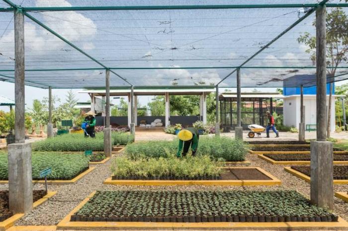 Petani green belt melakukan pembibitan kaliandra merah di area green house eco park kembang semi, Tuban.