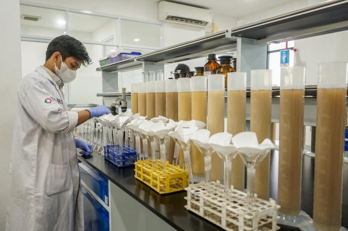 Petugas melakukan pemeriksaan sample di Laboratorium MUTU International, Cimanggis, Depok, Jawa Barat (29/5/2023).