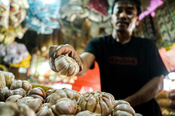 Harga bawang putih di Pasar Induk Kramat Jati mengalami kenaikan sejak dua minggu lalu menjadi Rp35 ribu per kilogram.