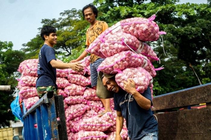 Pekerja memindahkan stok bawang putih dari gudang ke atas mobil di Pasar Induk Kramat Jati, Jakarta, Selasa (30/5/2023).
