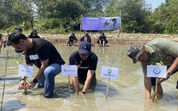 PT Amartha Mikro Fintek menggandeng Jejakin melakukan penanaman 1.000 bibit tanaman bakau atau mangrove di pesisir Pantai Morodemak, Demak, Jawa Tengah.