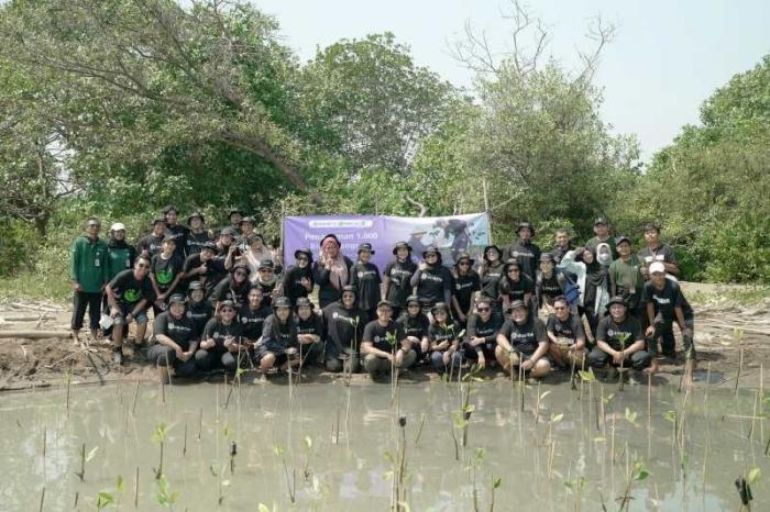 PT Amartha Mikro Fintek menggandeng Jejakin melakukan penanaman 1.000 bibit tanaman bakau atau mangrove di pesisir Pantai Morodemak, Demak, Jawa Tengah.