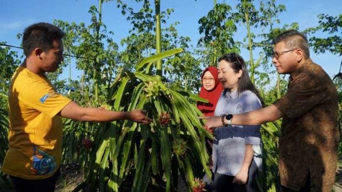 YDBA bersama Manajemen Polbangtan Malang menghadiri kegiatan #AsikBersamaUMKM dengan melihat langsung UMKM Buah Naga di Banyuwangi.