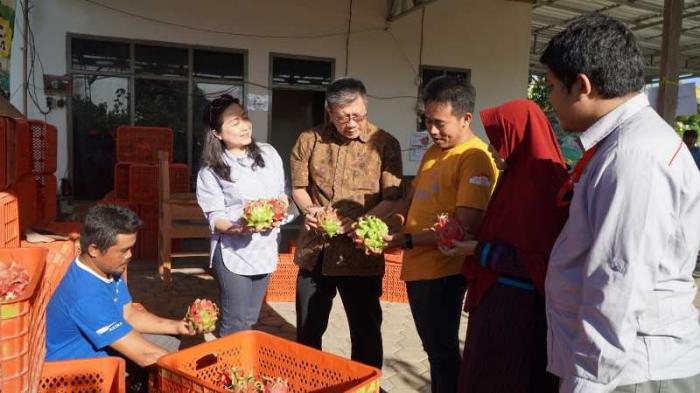 YDBA bersama Manajemen Polbangtan Malang menghadiri kegiatan #AsikBersamaUMKM dengan melihat langsung UMKM Buah Naga di Banyuwangi.