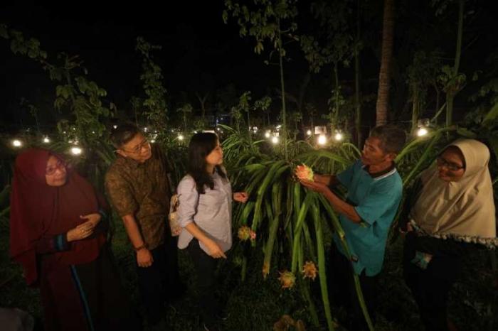 YDBA bersama Manajemen Polbangtan Malang menghadiri kegiatan #AsikBersamaUMKM dengan melihat langsung UMKM Buah Naga di Banyuwangi.