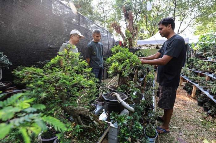 Pengunjung melihat tanaman yang dipamerkan dalam Pameran Flona 2023 di Lapangan Banteng, Jakarta, Sabtu (23/9/2023).