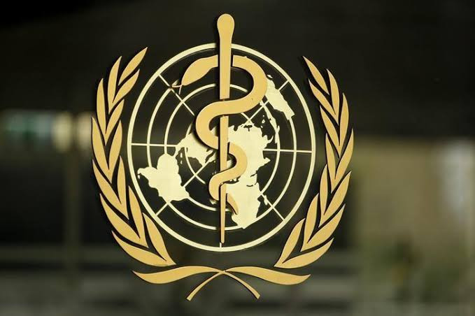WHO Sebut Wabah Hantavirus di Kapal Pesiar Bukan Awal Pandemi