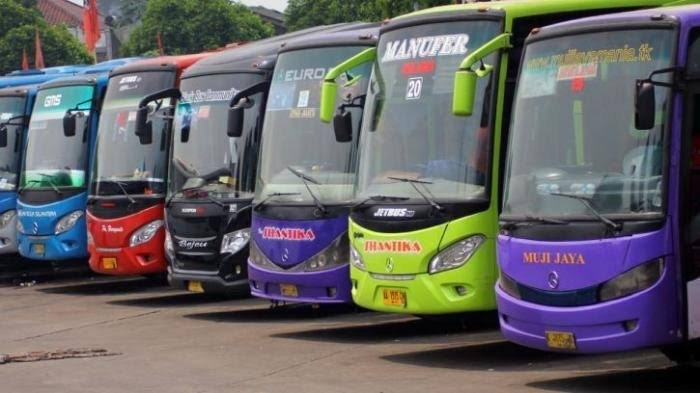 8 Pemilik PO Bus Terkaya di Indonesia, Ternyata Ada Pejabatnya Lho