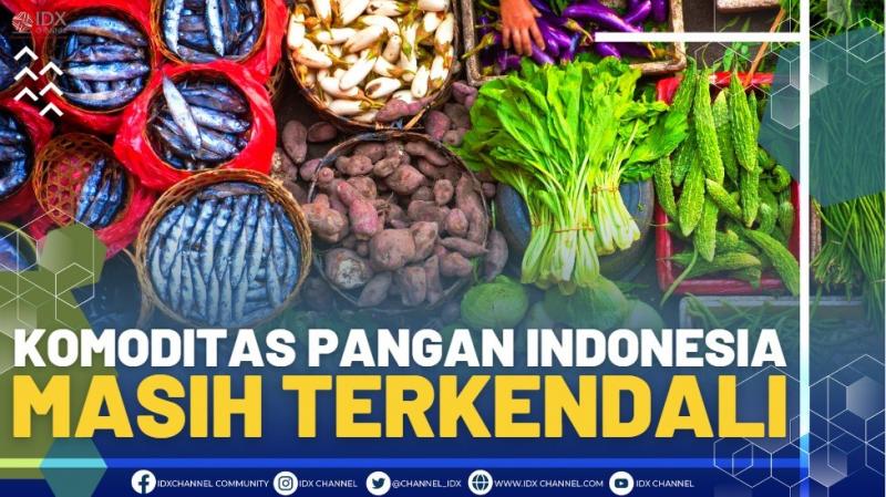 Komoditas Pangan Indonesia Masih Terkendali.(SUMBER : IDX CHANNEL)