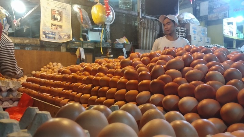 Stok 9 Komoditas Pangan Utama Melimpah, Beras hingga Telur Ayam Lampaui Kebutuhan Nasional