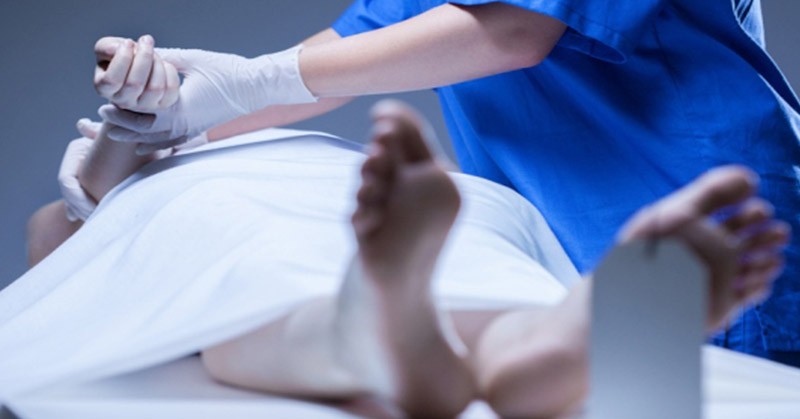 Proyek PLTA Batang Toru Senilai USD277 Juta Telan Korban Jiwa, Pemerintah Diminta Tinjau Ulang