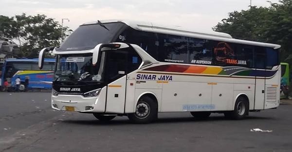 Siapa Pemilik PO Bus Sinar Jaya? Salah Satu Transportasi Terkemuka di Indonesia 