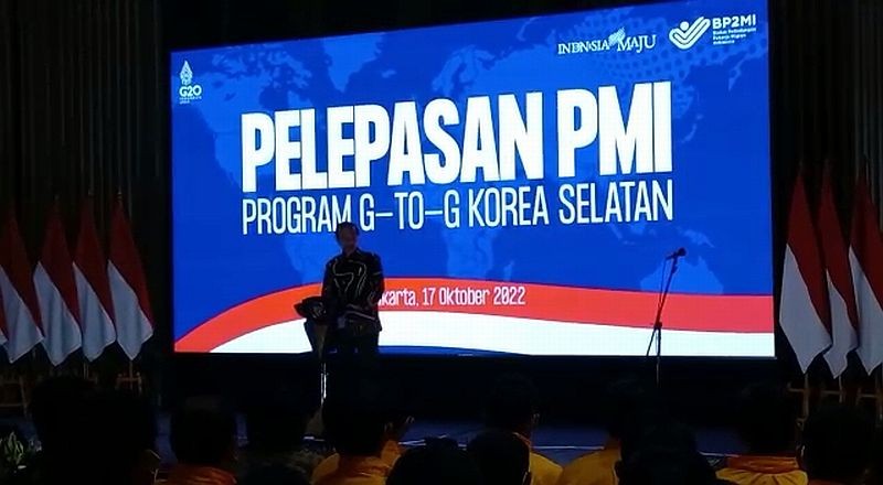 Mengenal 9 Contoh NGO di Indonesia