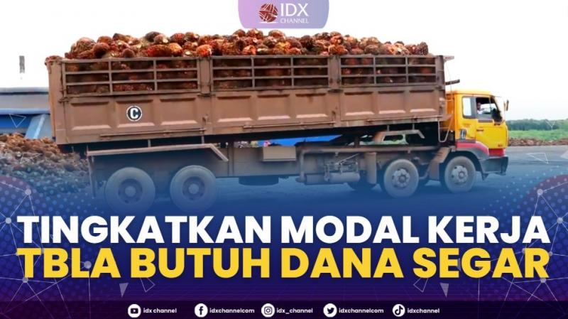 Tingkatkan Modal Kerja, TBLA Butuh Dana Segar,(Sumber: IDX CHANNEL)