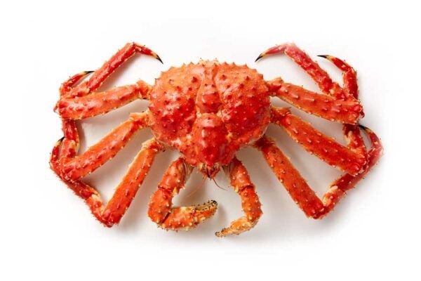 Kenapa Harga Kepiting Raja Alaska sangat Mahal? Ternyata Begini Alasannya