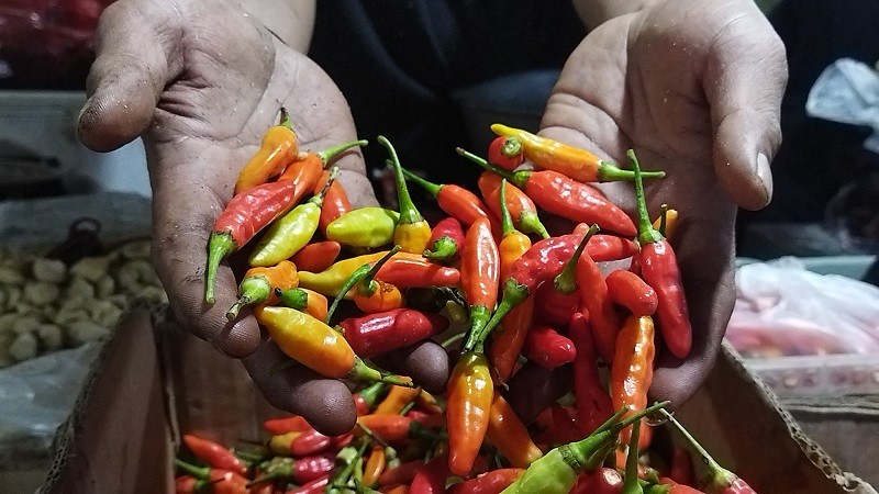 Update Harga Pangan Hari Ini, Cabai Rawit Merah Dibanderol Rp99.850 per Kg