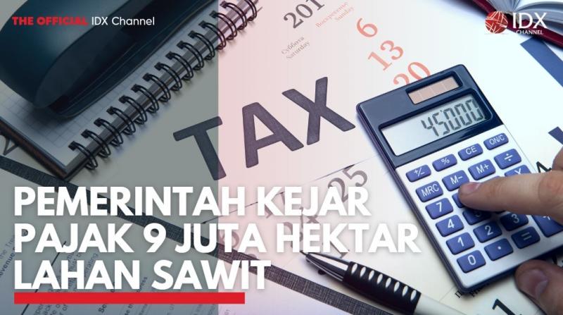 Pemerintah Kejar Pajak 9 Juta Hektar Lahan Sawit. (Sumber : IDXChannel)