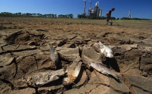 Hadapi Potensi El Nino, Pemerintah Pastikan Stok Cadangan Pangan Lebih Kuat