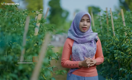 Kisah Sukses Eks Honorer Jadi Petani kaktus, Jual Tanaman Online Bisa Cuan Rp200 Juta Sehari