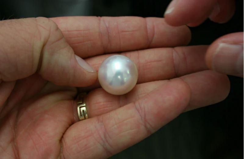 Mengintip Harga Mutiara Asli, Capai Jutaan Rupiah