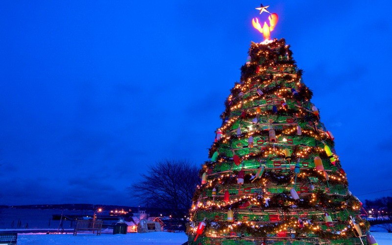 7 Rekomendasi Tempat Beli Pohon Natal di Jakarta Beserta Pernak-Perniknya