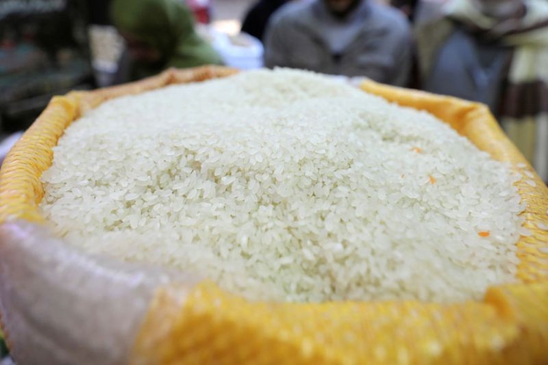 Kebutuhan Beras untuk Program MBG Capai 6 Ribu Ton per Hari