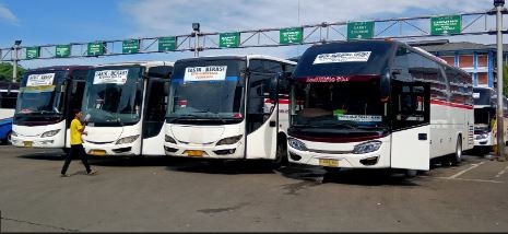 Intip Harga Tiket Bus Jurusan Jakarta-Cirebon, Termahal Rp600 Ribu