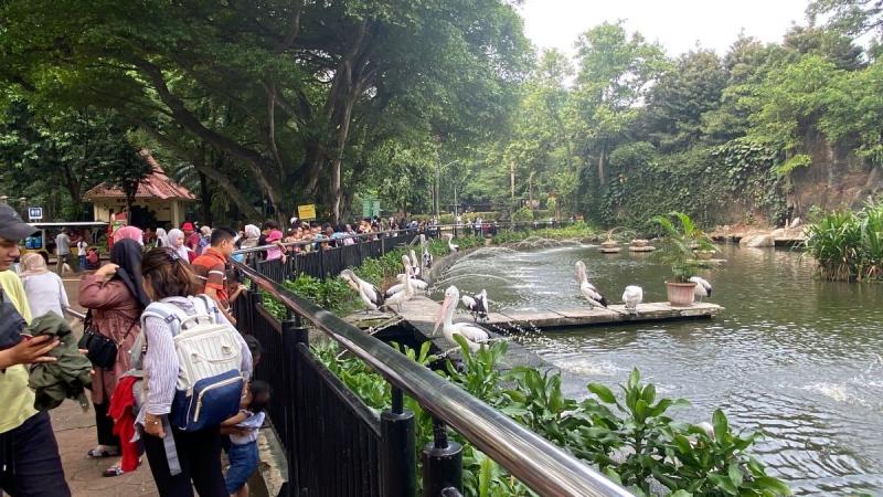 Kisah Menarik di Balik Pendirian Taman Margasatwa Ragunan, Dulu Milik Raden Saleh