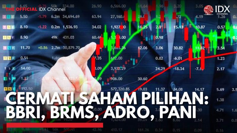 Cermati Saham Pilihan: BBRI, BRMS, ADRO, PANI. (Sumber : IDX Channel)
