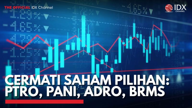 Cermati Saham Pilihan: PTRO, PANI, ADRO, BRMS. (Sumber : IDX Channel)