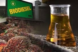 Indonesia Butuh 400.000 Kilo Liter Etanol untuk Wujudkan BBM E20