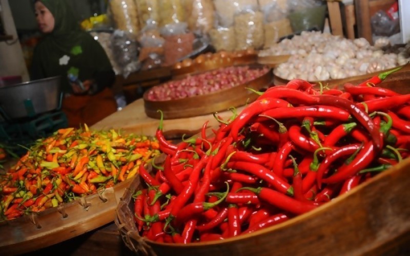 Mentan Amran Jamin Stok dan Harga Cabai Aman Jelang Nataru
