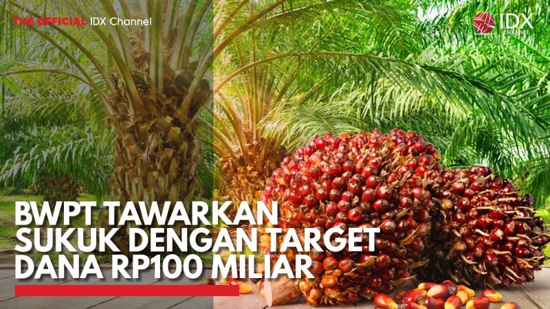 BWPT Tawarkan Sukuk dengan Target Dana Rp100 Miliar. (Sumber : IDX Channel)