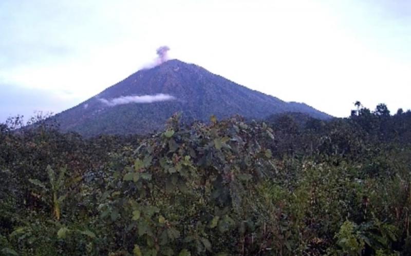 Gunung Semeru Erupsi Pagi Ini, Letusan Capai 700 meter di Atas Puncak