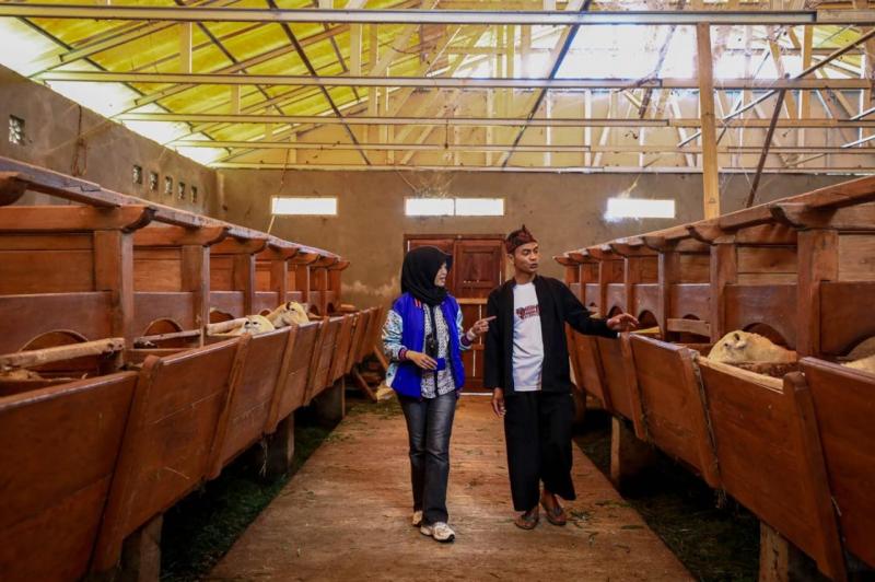 Penyaluran KUR BRI (BBRI) Dorong Setengah Juta Pengusaha UMKM Naik Kelas